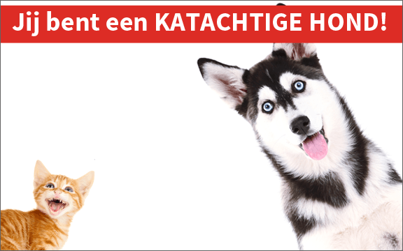 vraag