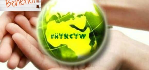 Benefiet How tot really change the world verandering veranderen verandermanagement