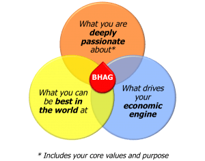 Big Hairy Audacious Goal, BHAG, groot, stoer, gedurfd, doel