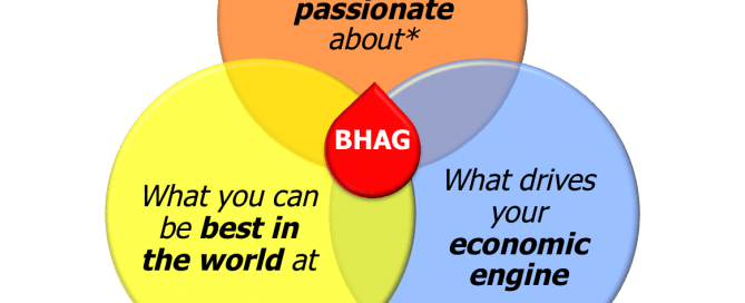 Big Hairy Audacious Goal, BHAG, groot, stoer, gedurfd, doel