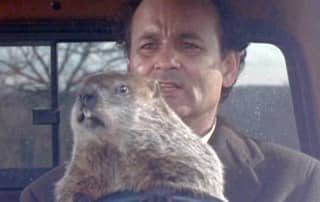 Groundhog Day, coaching