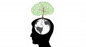 phd, Bewust Beter Brein, Mind Mappen, Snellezen, snel lezen, creativiteit, creatiever denken