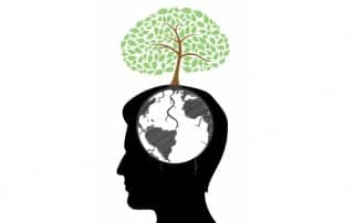 phd, Bewust Beter Brein, Mind Mappen, Snellezen, snel lezen, creativiteit, creatiever denken