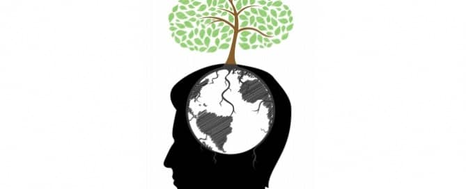 phd, Bewust Beter Brein, Mind Mappen, Snellezen, snel lezen, creativiteit, creatiever denken