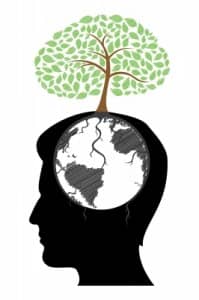 Bewust Beter Brein, Snel lezen, snellezen, mindmappen, minmap, mind mappen, mind map