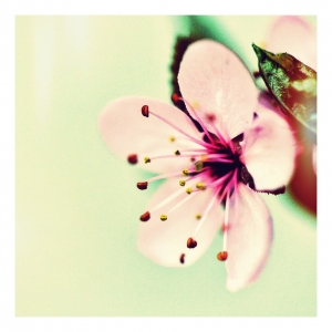 reiki, relax, relaxation, meditation