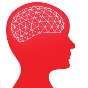 brein, geheugen, informatie verwerken, snellezen, mindmappen, onthouden