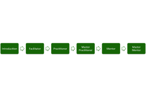 trainer, teacher, docent, facilitator, mentor, leraar, triple a+, levels certification
