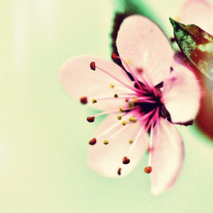 reiki, relax, relaxation, meditation