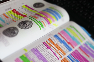 bewust, beter, brein, lezen, leren, studeren, studie, snel, lezen, snellezen