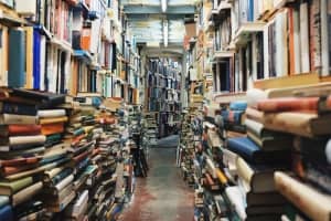 bewust, beter, brein, lezen, leren,, studeren, studie, snel, lezen, snellezen