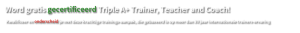 trainer, teacher, coach, triple a+